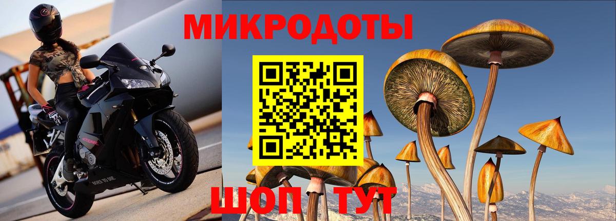 Урус-Мартан  Галлюциногенные грибы ЛСД  Вход с VPN 